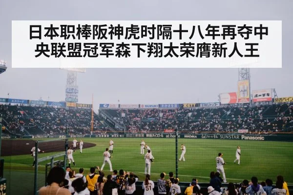 日本职棒阪神虎时隔十八年再夺中央联盟冠军森下翔太荣膺新人王