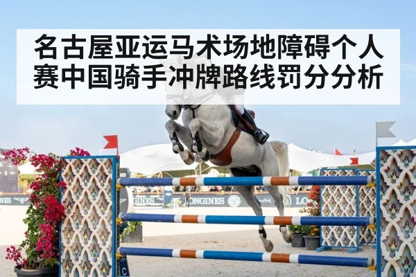 horse rider jumping obstacle